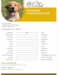 Temperament & Personality Assessment